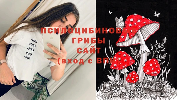 стафф Алексин