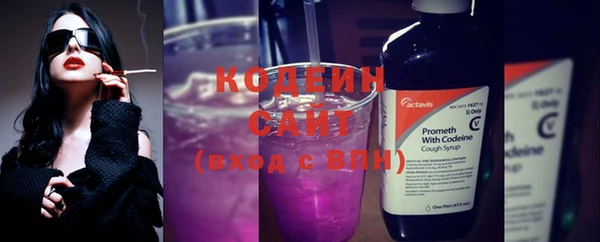 дурь Новодвинск