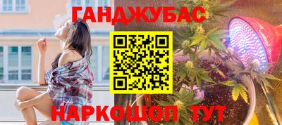 дмт Заводоуковск