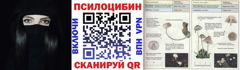 где продают   Уварово  Псилоцибиновые грибы ЛСД 