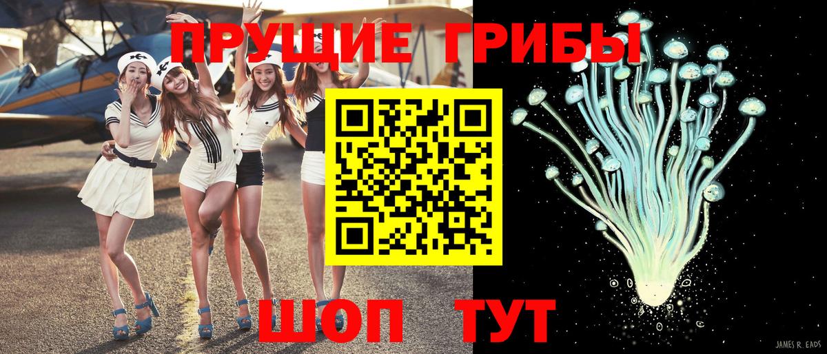 Псилоцибиновые грибы Psilocybe  Вход с VPN  Уварово 